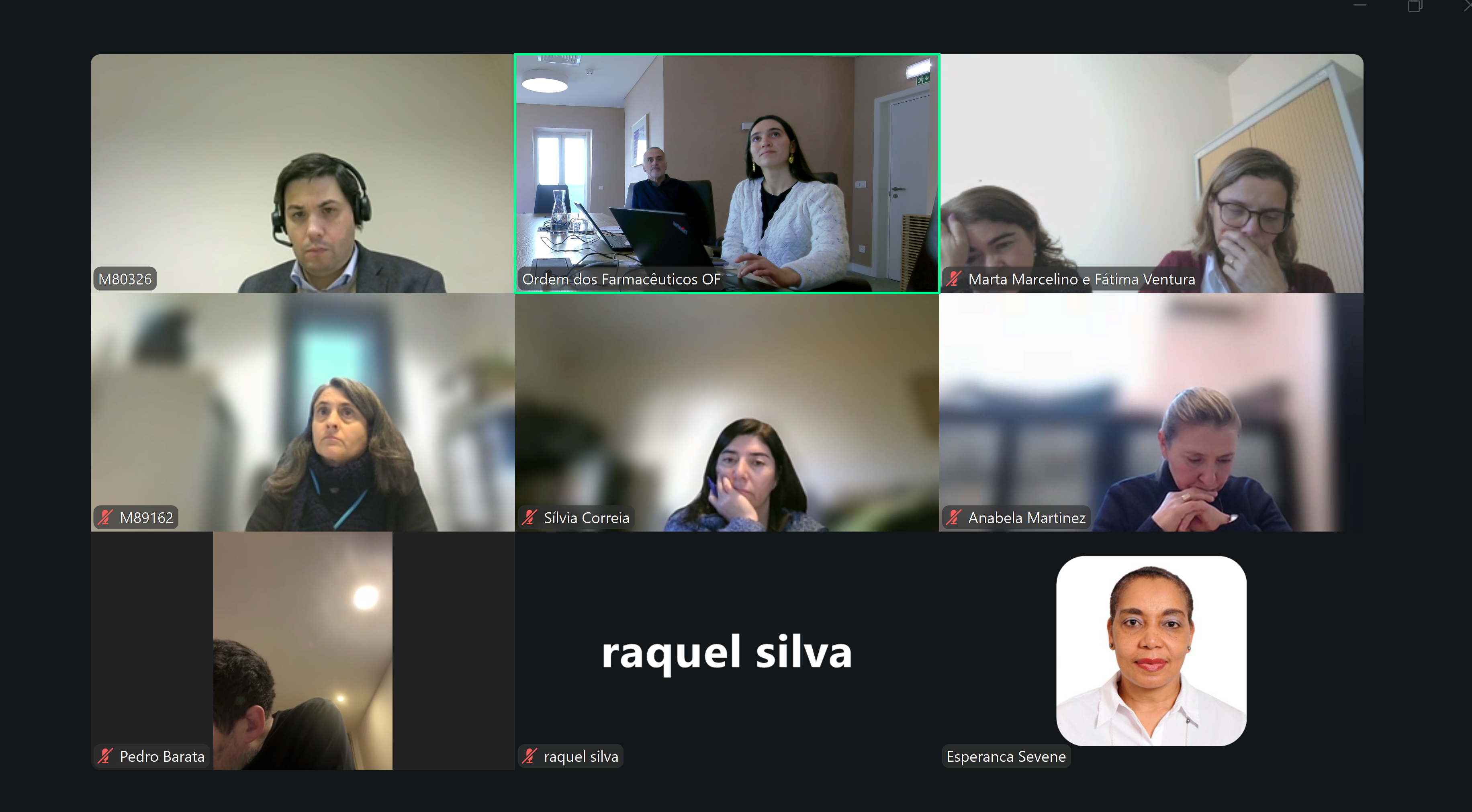 Anexo 06jan2025_Reunião_WP5 (1).png
